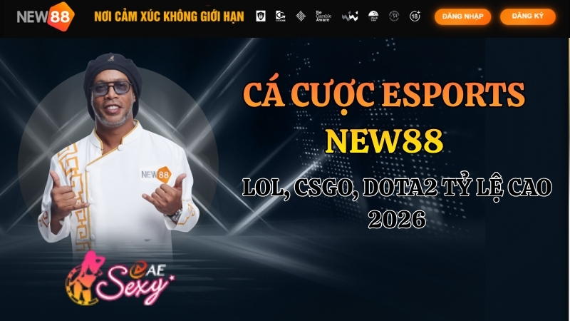 Cá Cược eSports NEW88 – LOL, CSGO, Dota2 Tỷ Lệ Cao 2026