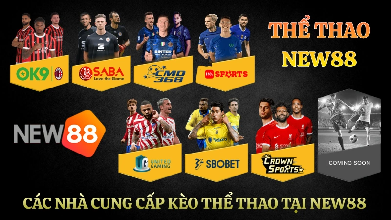 Các nhà cung cấp kèo thể thao NEW88 với tỷ lệ cược và odds cạnh tranh